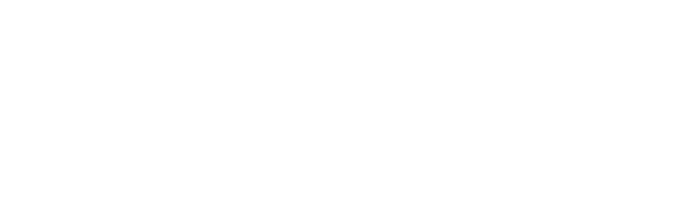 IAI North America logo